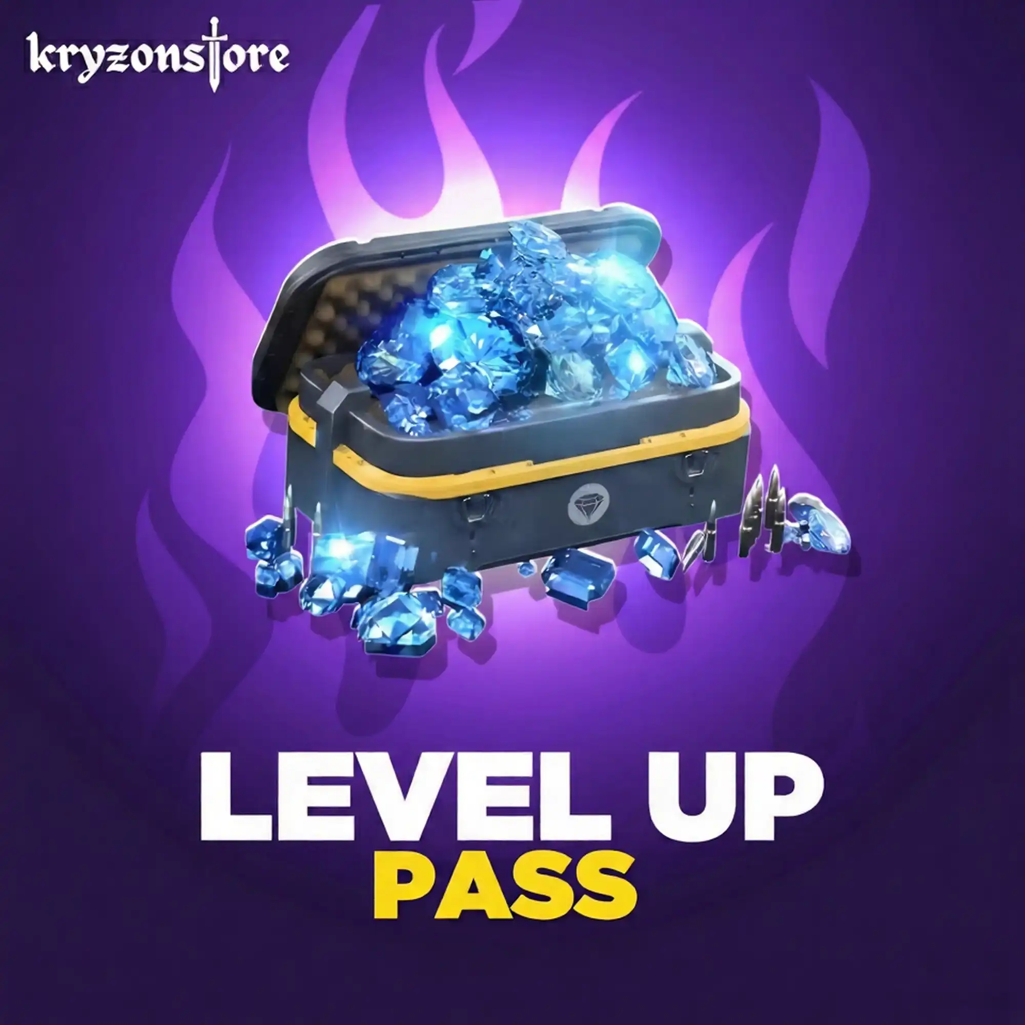 LEVEL UP PASS
